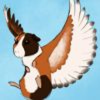 Avatar of NMRO