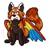 Amicus Avatar