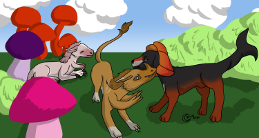 Submission thumbnail