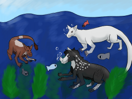 Submission thumbnail
