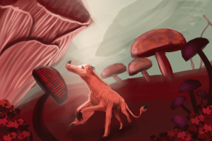 Submission thumbnail